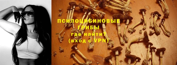jwh Гусиноозёрск